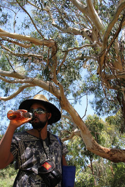 Tower Hill Reserve, VIC