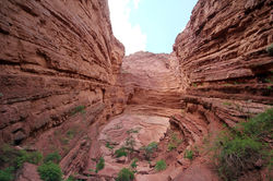 Quebrada de las conchas, Argentine