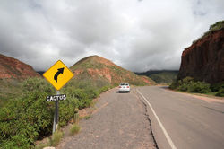 On the road, Argentine