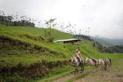 Salento, Colombie