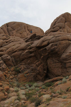 Ikh Gazryn Chuluu, Mongolie