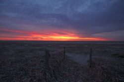 On the road, SA