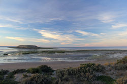 Péninsule Valdés, Argentine
