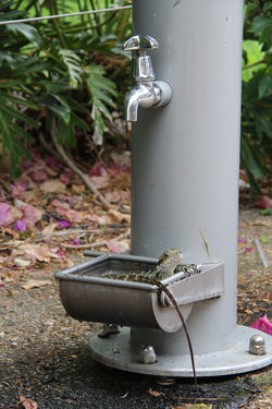Brisbane, QLD