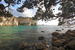Cathedral Cove