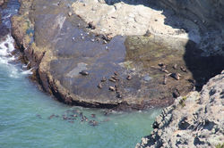 Cape Bridgewater, VIC