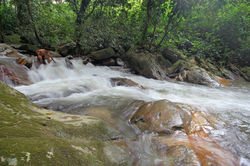 Minca, Colombie