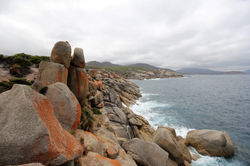 Wilson Promontory NP, VIC