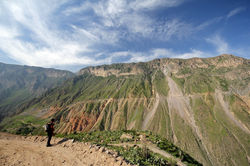Canyon de Colca, Pérou