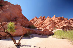 Quebrada de las conchas, Argentine