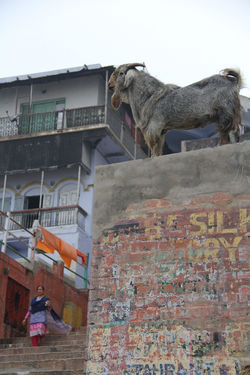 Varanasi, Inde