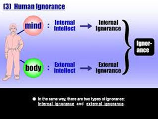 Internal ignorance and external ignorance.