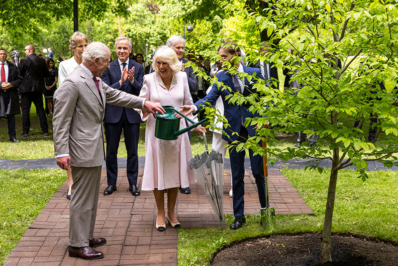 Close-up view of a ceremonial tree planting at Rideau Hall