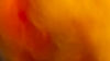 heat-stress-royalty-free-image (dreamstime)_304996503.jpg