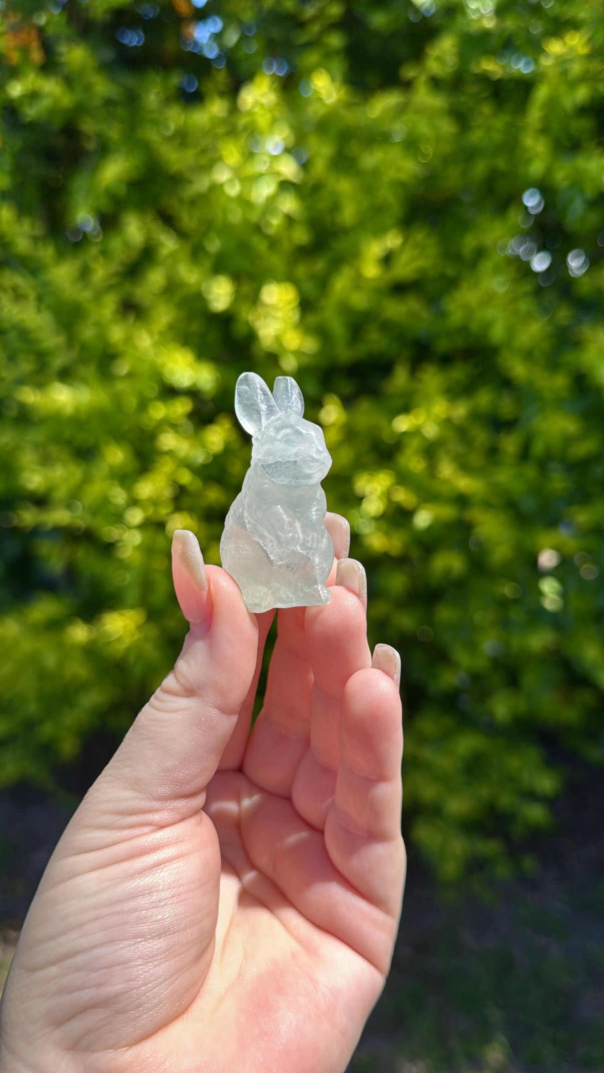 Fluorite Bunny 
