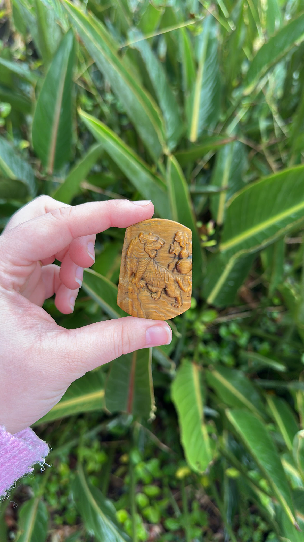 Tigers Eye Lion 