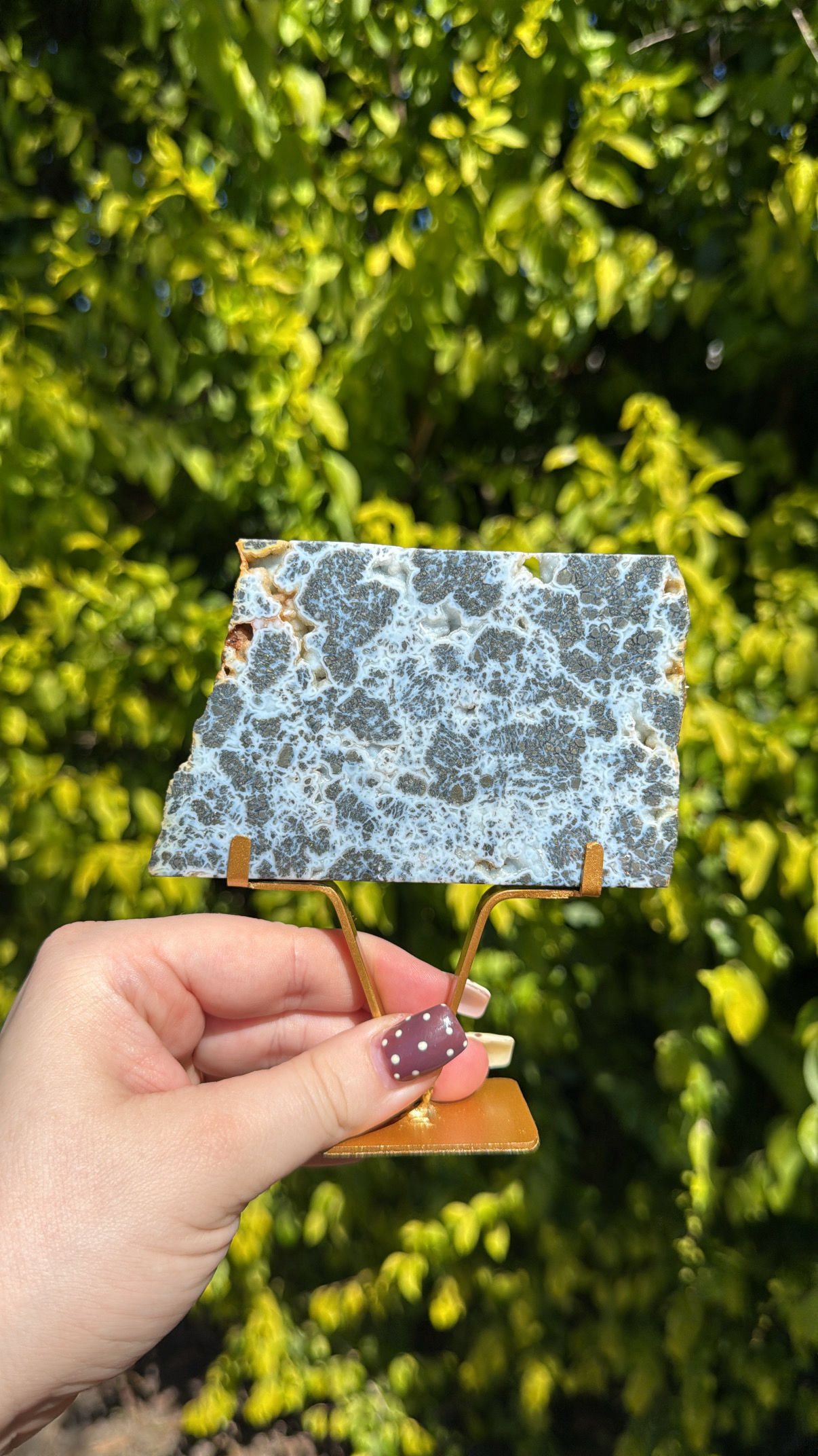 Blue Marcasite Slab E