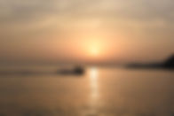 DSC_2495_R.JPG