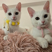 IMG_6156 2_edited.jpg