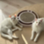 フルート&ハープ