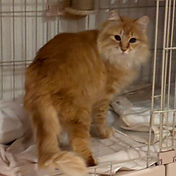 IMG_6156 2_edited.jpg