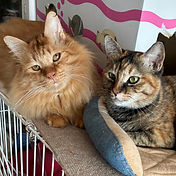 IMG_6156 2_edited.jpg