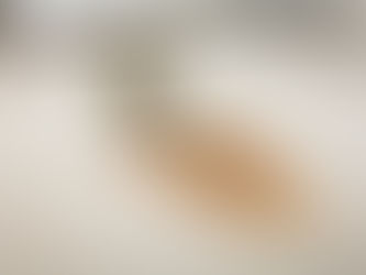 Carpet Stain Removal Middlesex