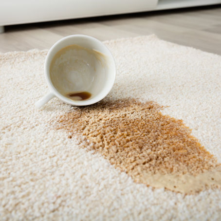 Carpet Stain Removal Middlesex
