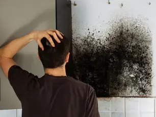 Piscataway NJ Mold Removal Services