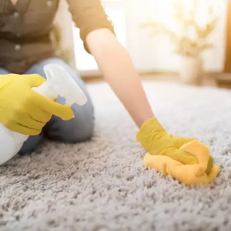 How To Remove A Mildew Stain From An Oriental Carpet?