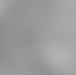 Préparation du défilé 