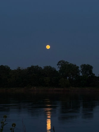 IMG_9939.jpeg