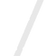 rostra_2014_logoicon_slash_edited_edited