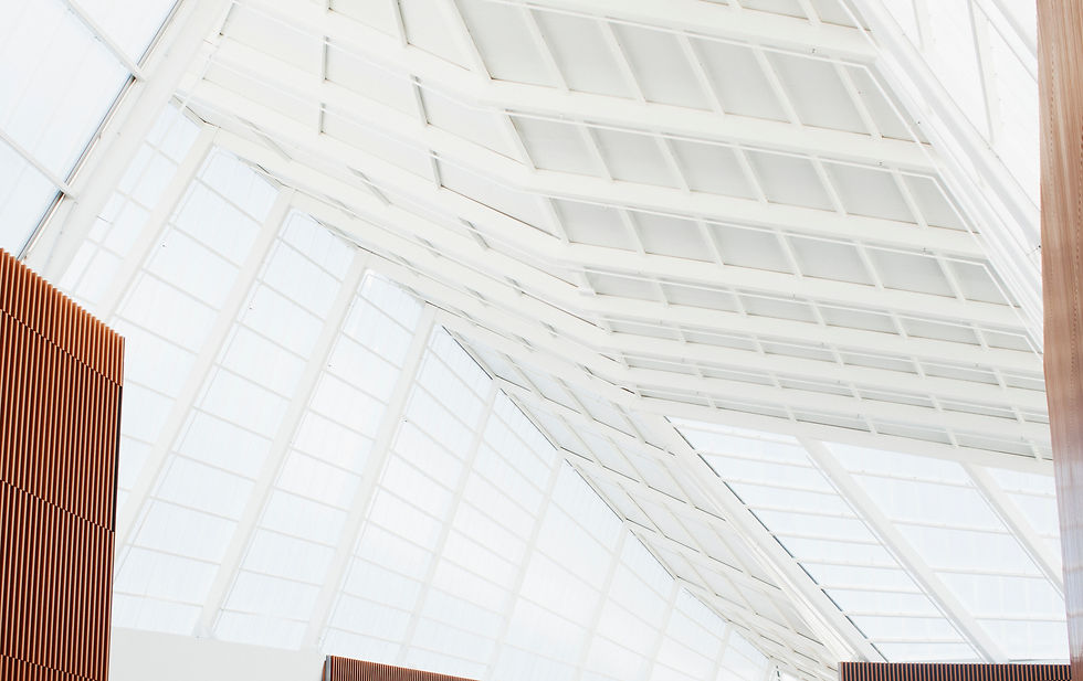 White Ceiling_edited.jpg