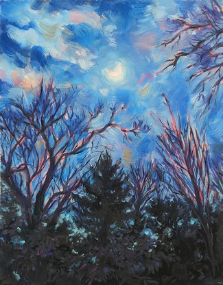 Moonlit sky surrounded by towering trees
