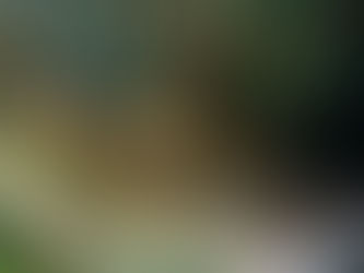Swamps of Sadness (6)
