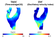 image-removebg-preview (2).png