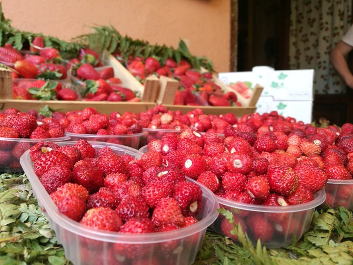 EAT-Box Strawberry products and Nemi Live Virtual Tour