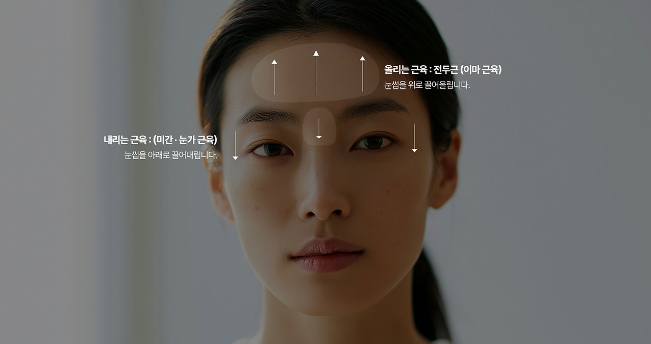 눈썹 반영구 시술 전, 얼굴 골격과 눈 흐름에 맞춰 눈썹 머리·산·꼬리 위치를 펜슬로 잡는 디자인 과정
