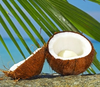 Coconut Oil - The Latest Press