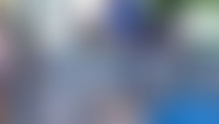 Campanha do Samae de Praia Grande arrecada alimentos para cães e gatos