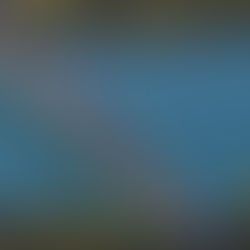 Araranguá: Jorginho Mello virá assinar ordens de serviço para ponte e ciclovia