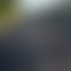 Balneário Gaivota inicia asfaltamento de trecho da avenida Beira-mar Sul