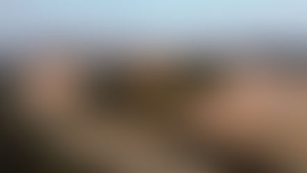 Morro dos Conventos: Prefeitura poderá autorizar novas construções!