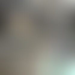 Delegada Eliane Chaves apresenta na Câmara dados e alerta sobre feminicídios