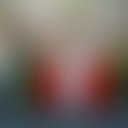 PDT reúne pré-candidatos e filia Angela Albino que deve estar na majoritária