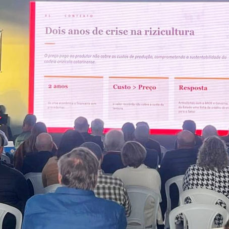 Leilão da Conab movimenta 2,5 mil toneladas de arroz catarinense