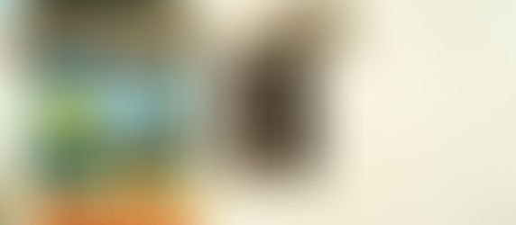 Big Brands ...Sexy Advertising...More Customers