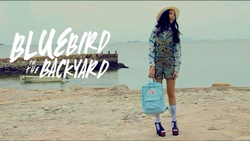 ''Bluebird in the backyard"