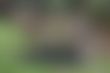 Reserva Natural “Mano de Oso”